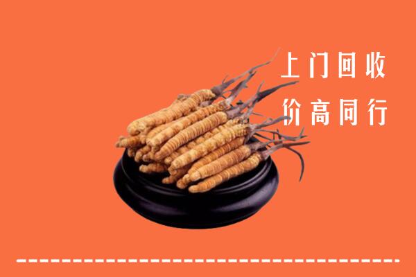 高价求购：都兰县回收散虫草