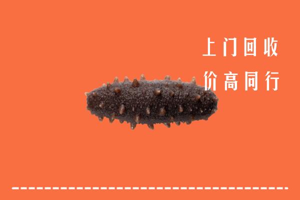 高价求购：都兰县回收海参