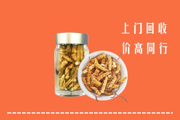 收购行情：都兰县回收冬虫夏草